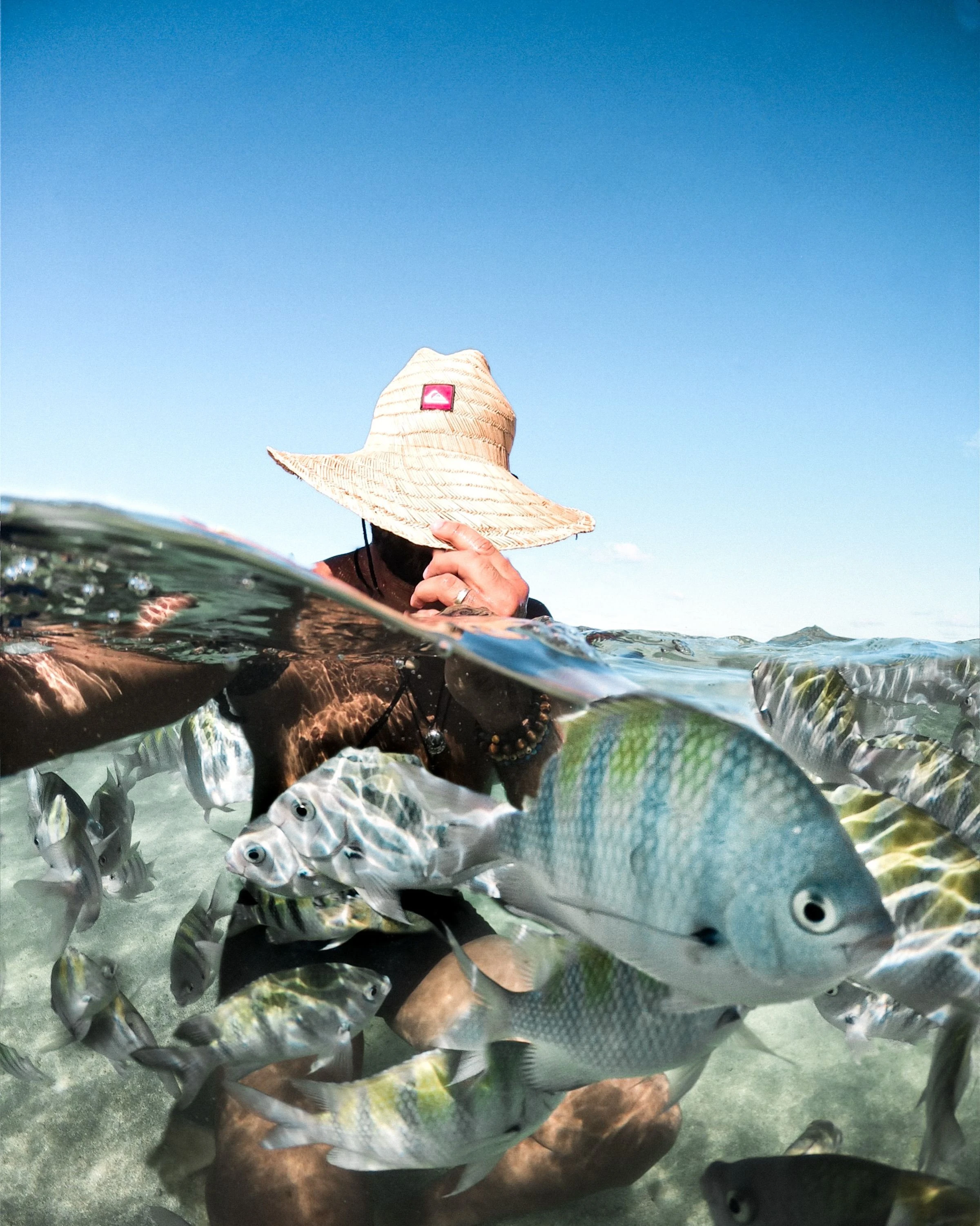 A split water-level photograph shows fish below the surface and a visitor above at Porto de Galinhas
