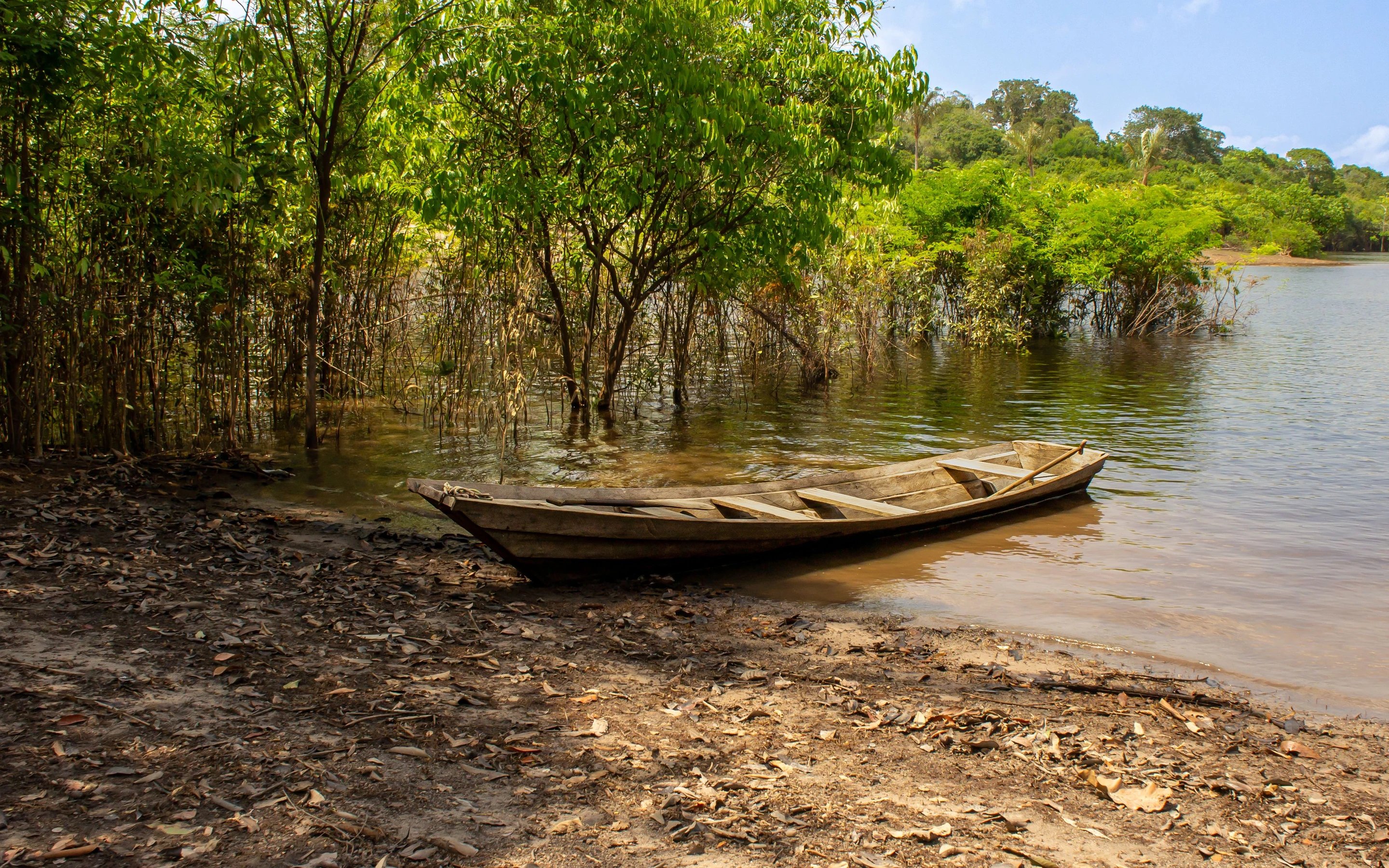 A wooden canoe rests beside a reflective river and trees in Amazonas.