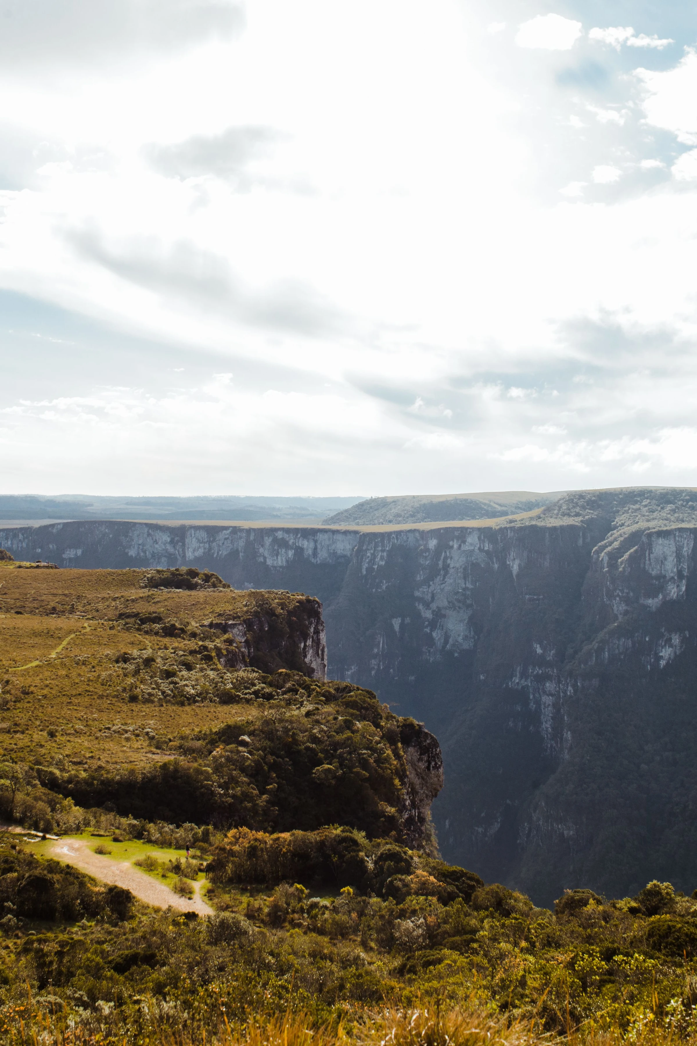 Golden grass and a rim path lead toward the cliffs of Fortaleza canyon beneath blue sky.