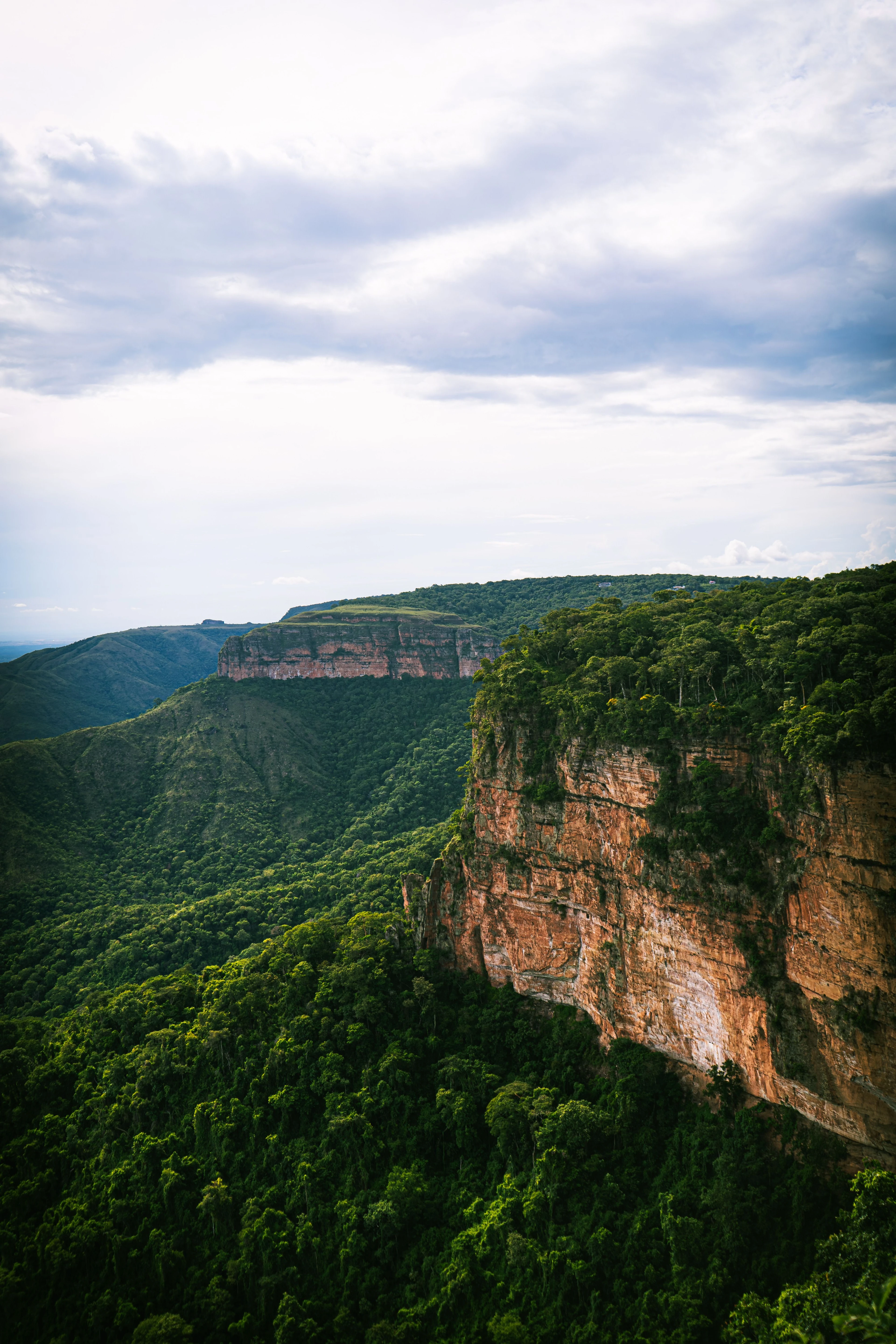 A tall exposed cliff rises above a deep green valley in Chapada dos Guimarães.