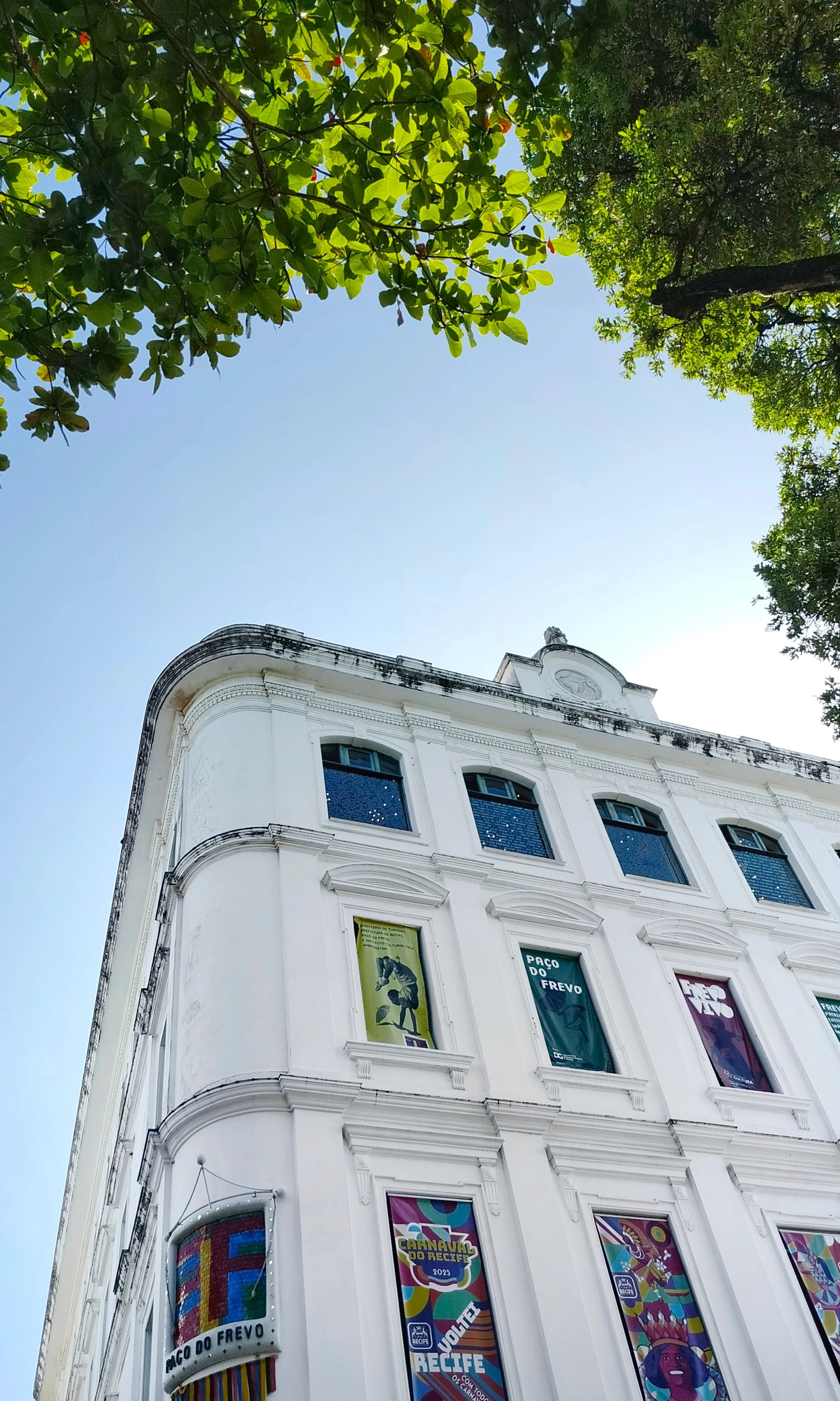 Tree branches frame the white façade and colorful banners of Paço do Frevo in Recife.