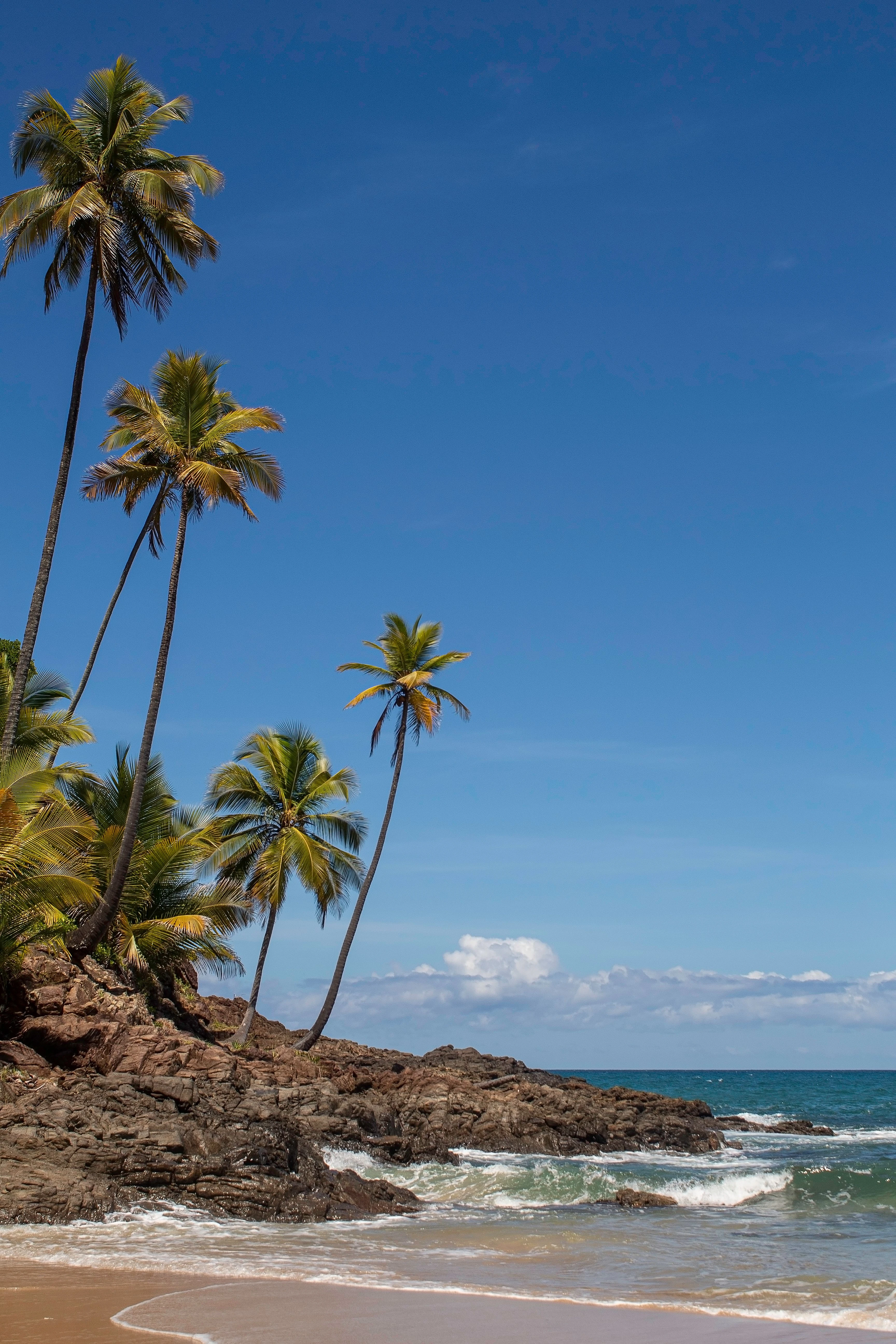 Palms and rocks frame the blue Atlantic along Itacaré's coast
