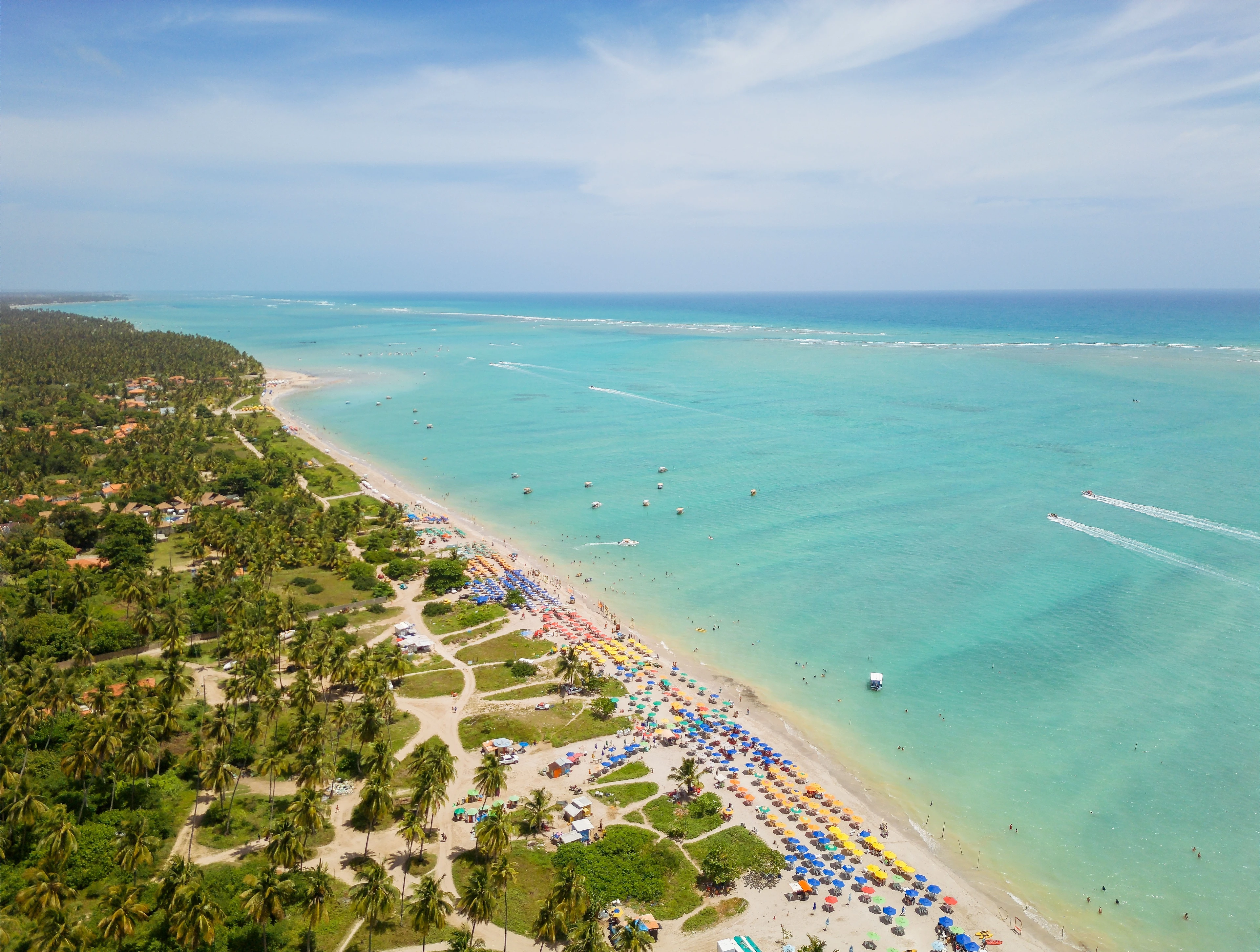 A high-resolution aerial sweep of Antunes beach, palms, colorful umbrellas and clear water in Maragogi