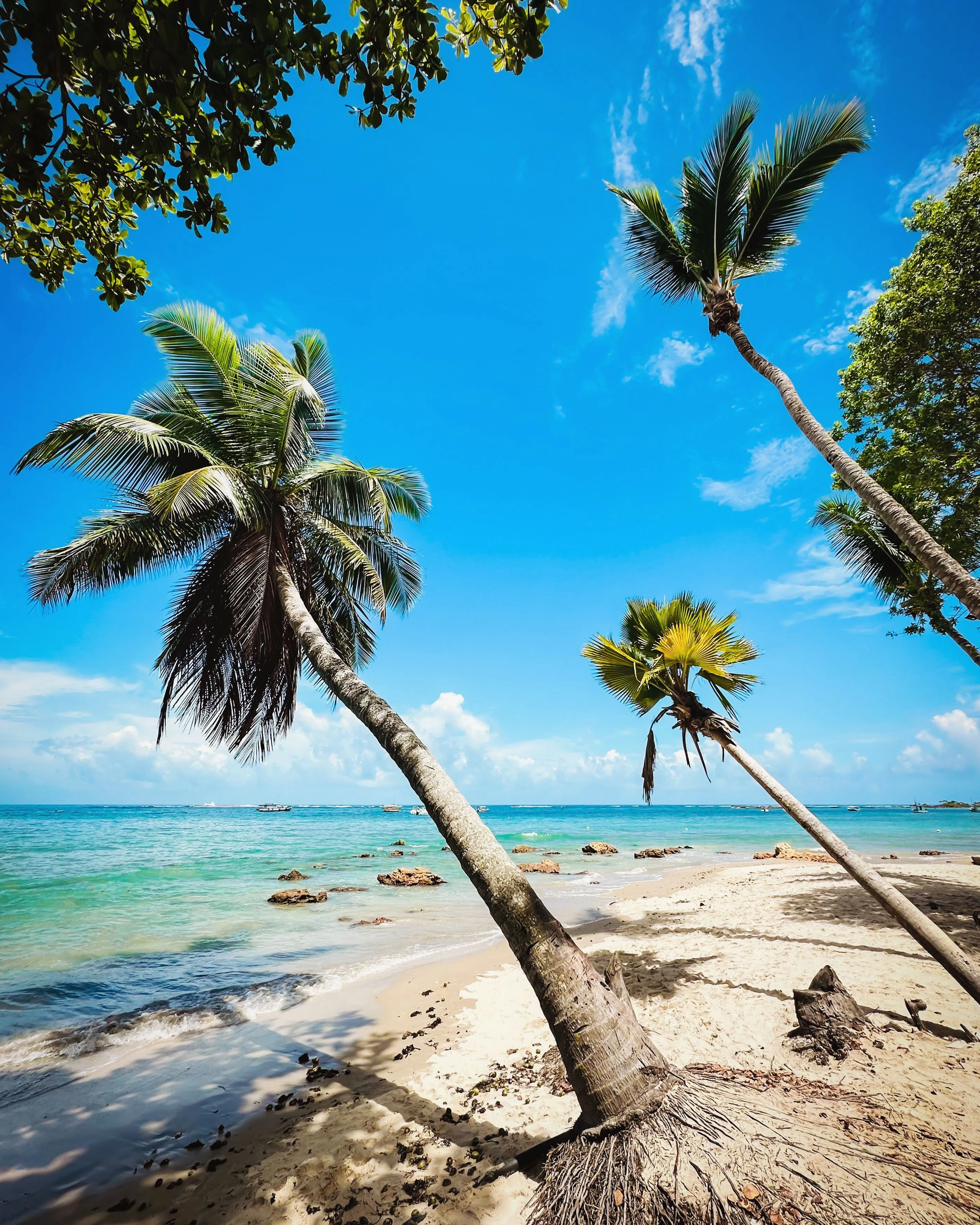Leaning palms frame a bright blue-green sea at Morro de São Paulo