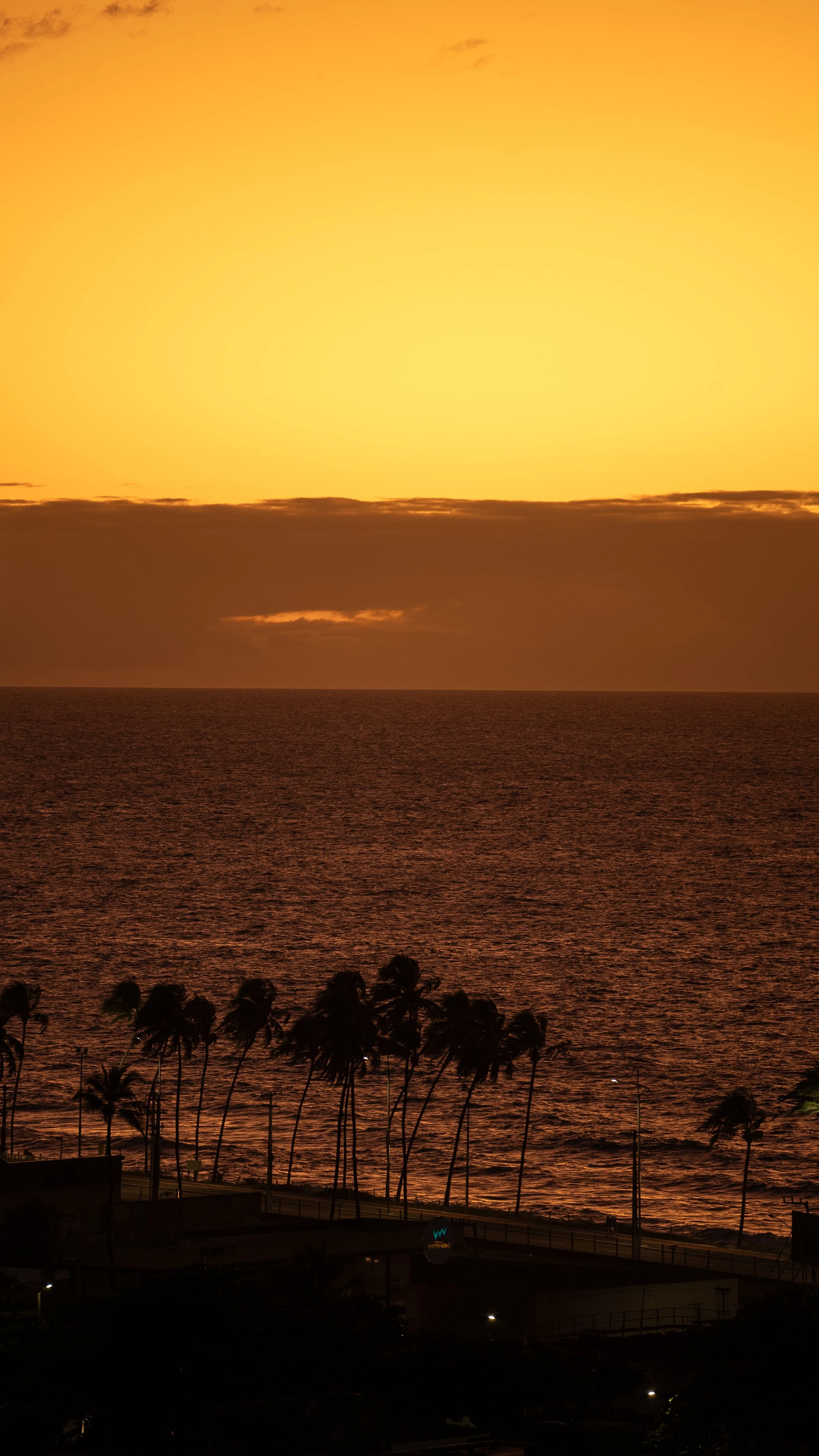 Golden light over a palm-lined avenue and the Maceió coast