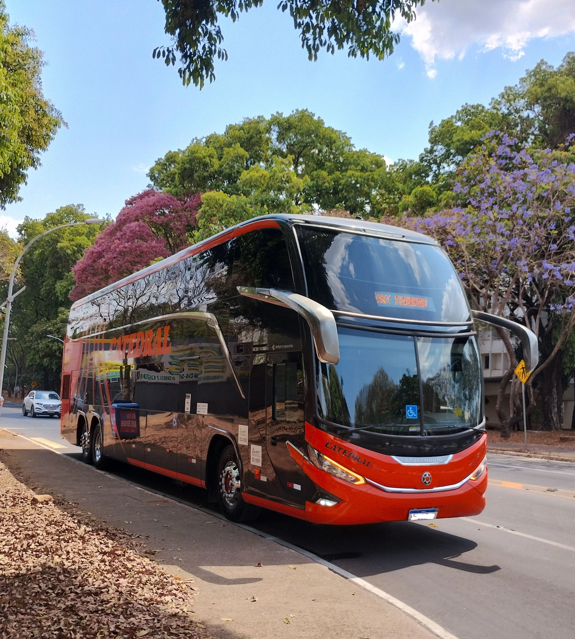 A red and black double-decker bus stands beside flowering trees in Brasília.