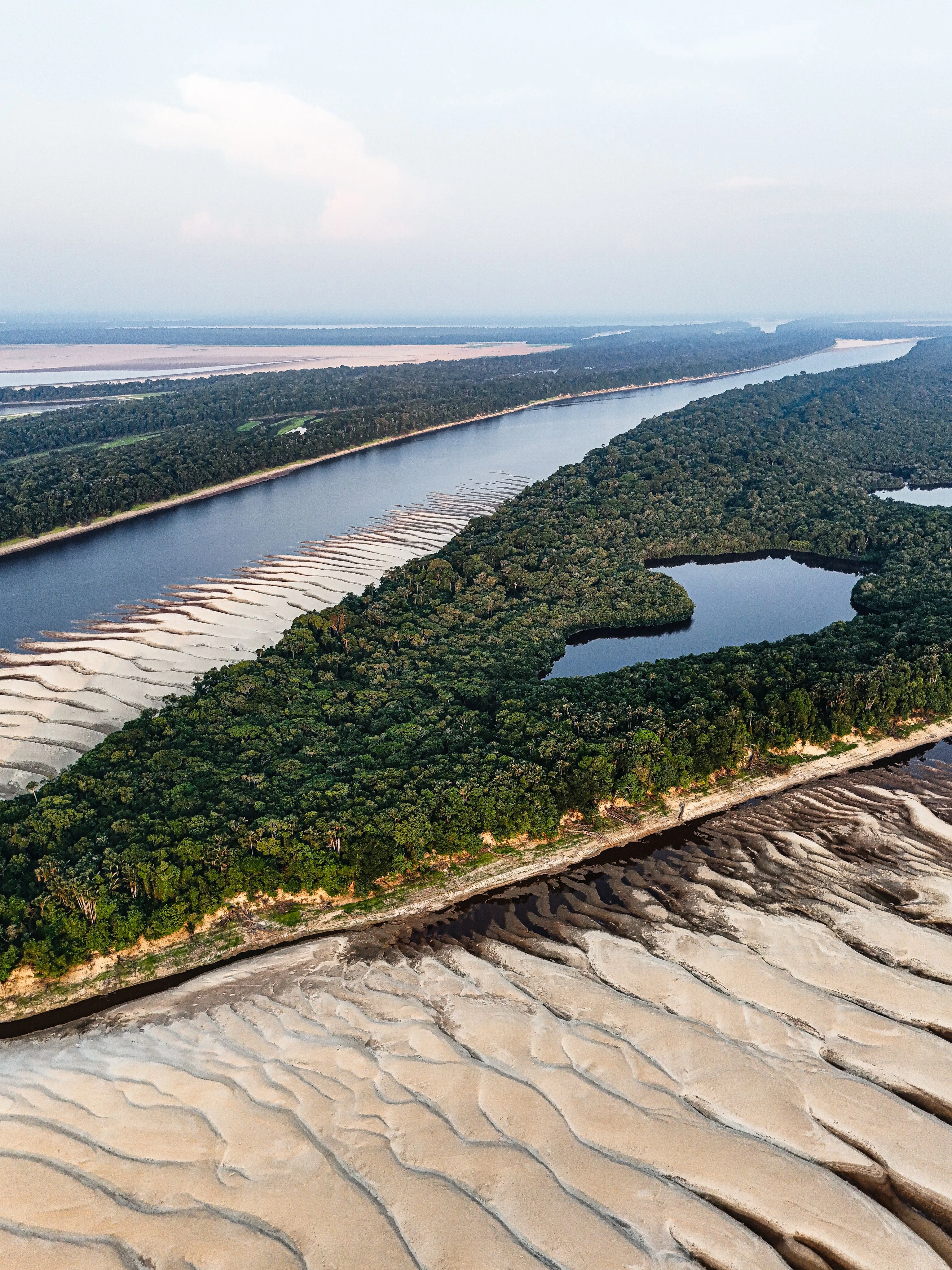 An aerial view of winding Amazon waterways, forest and sculpted sandbanks