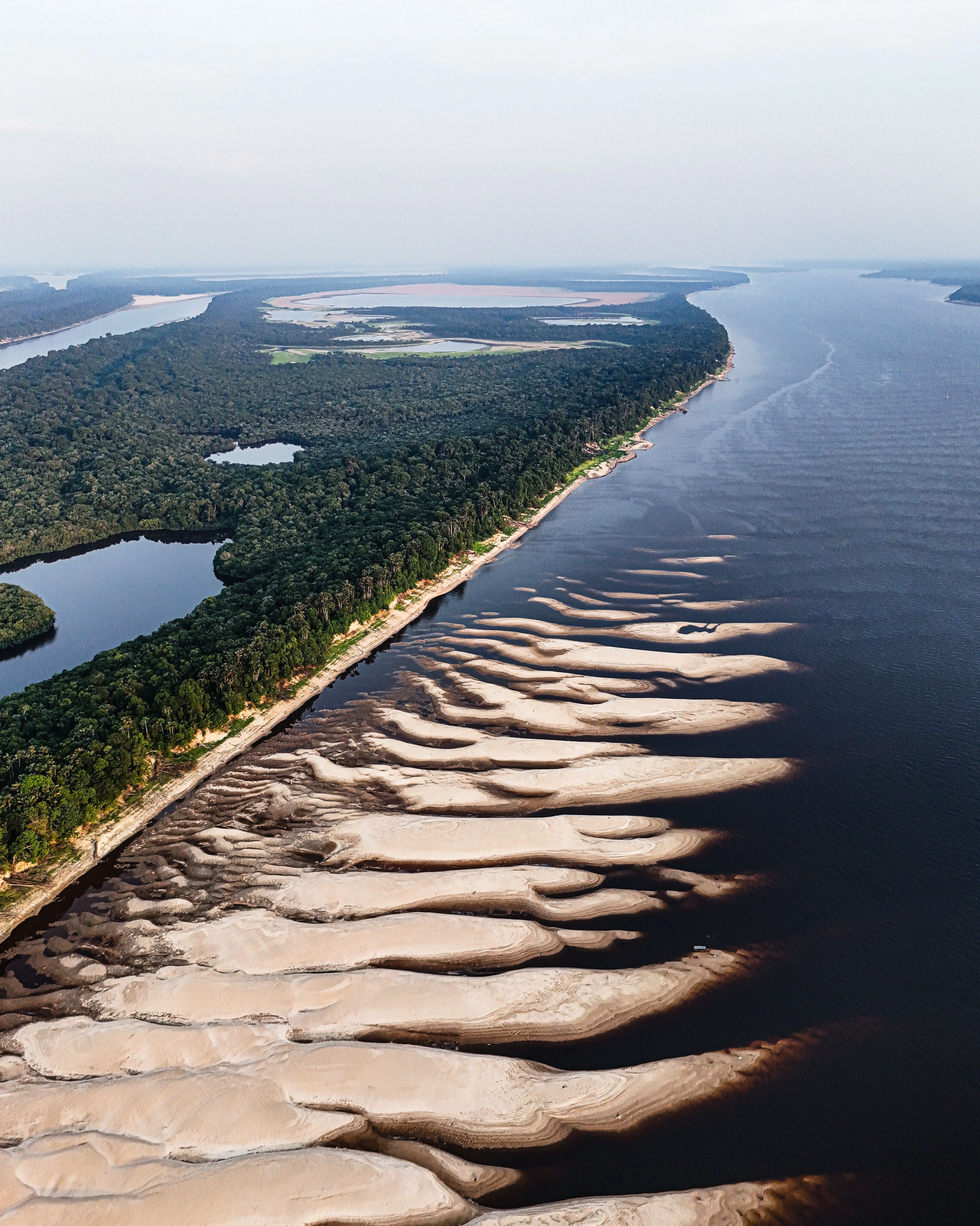 Aerial view of curved sandbanks beside dark Amazon water