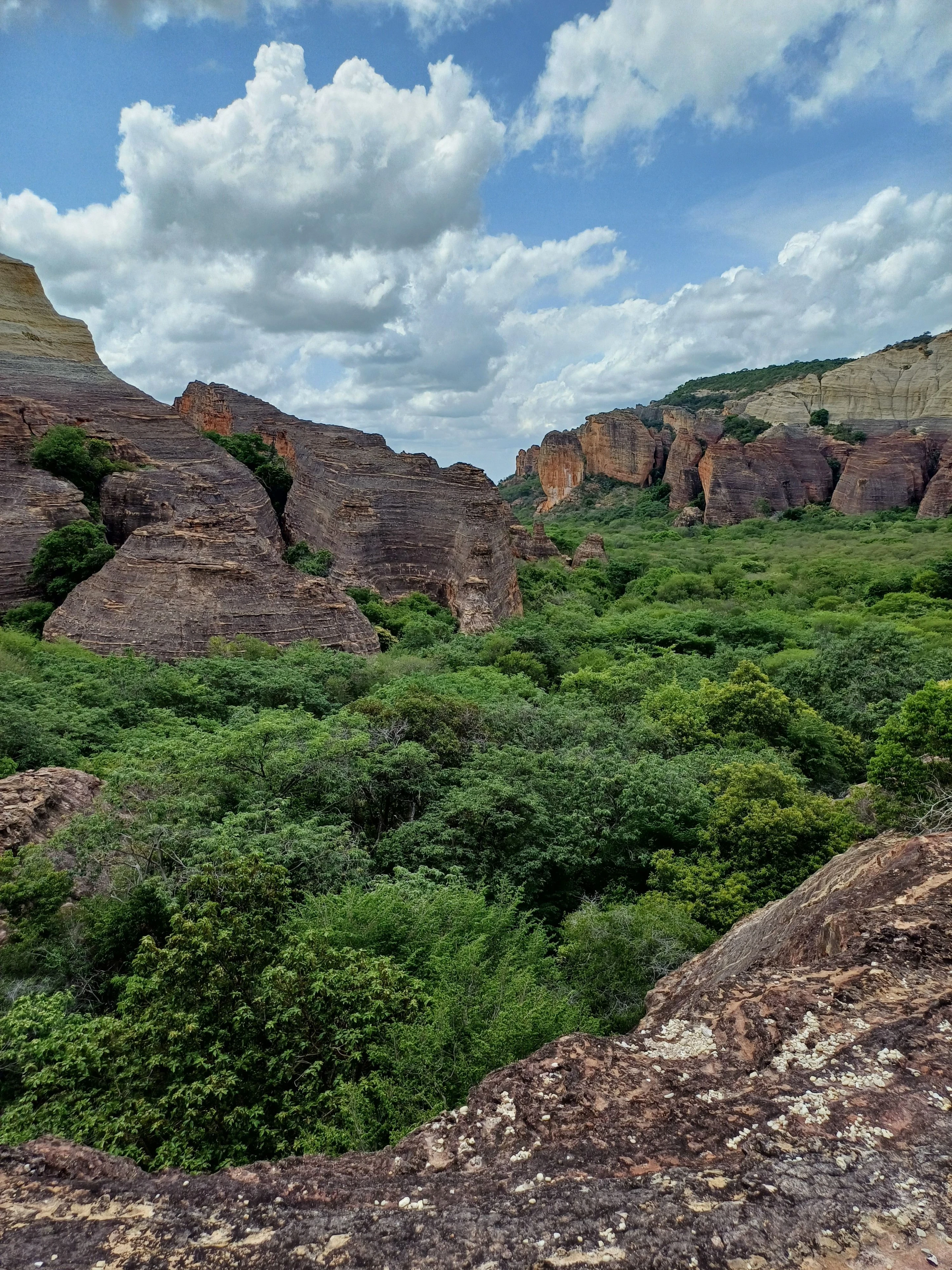 Red rock formations tower over green vegetation in Serra da Capivara National Park