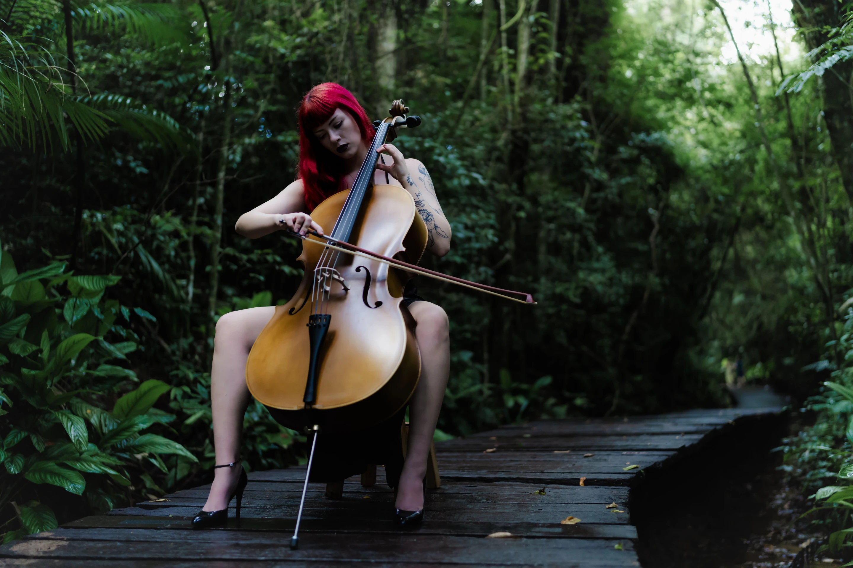A cellist plays on a wooded boardwalk in Curitiba.