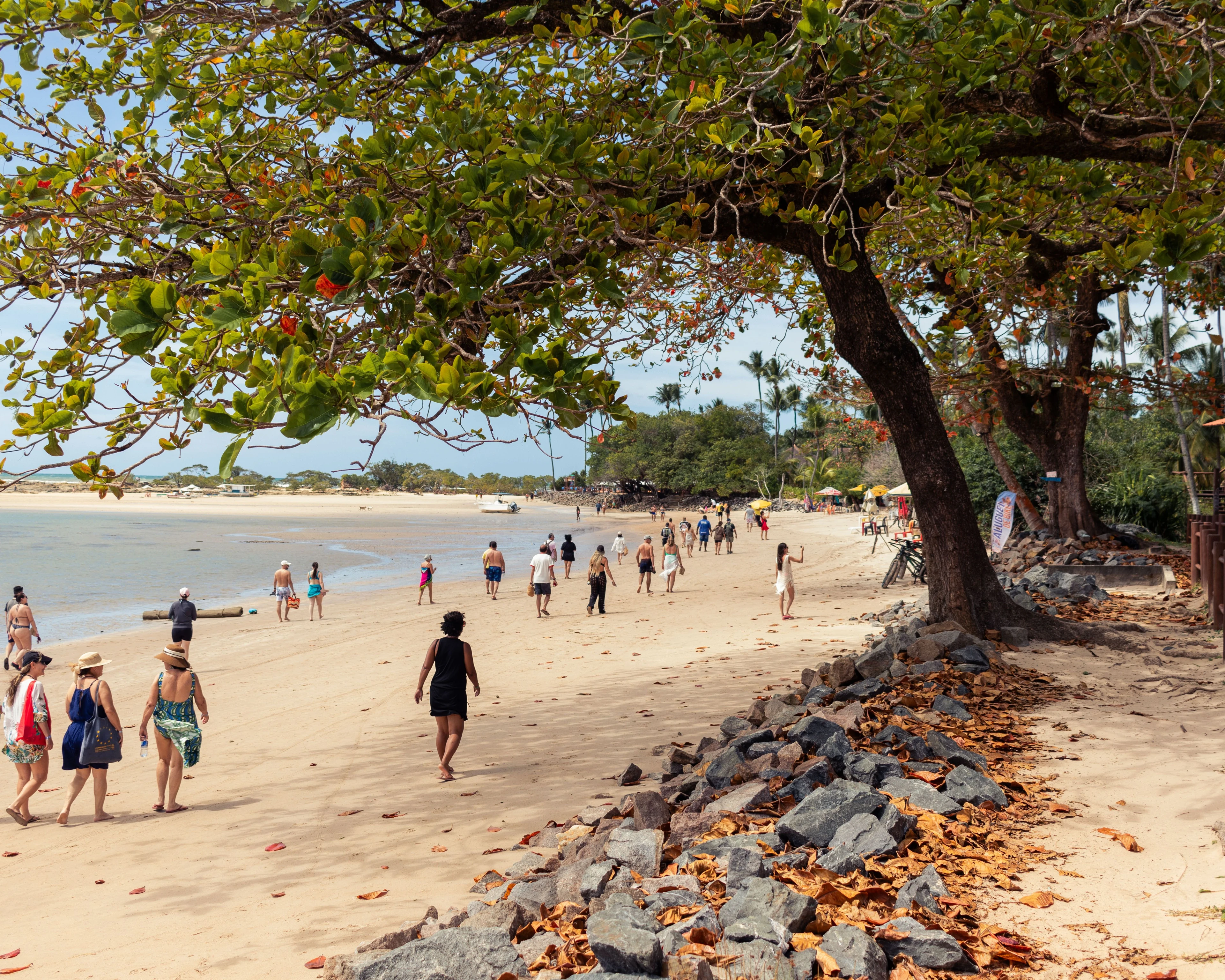 People walk a palm-lined Morro de São Paulo beach beside the sea
