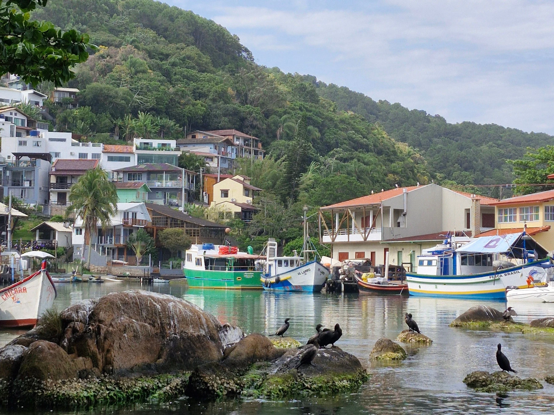 Fishing boats and an inhabited shoreline · Florianópolis