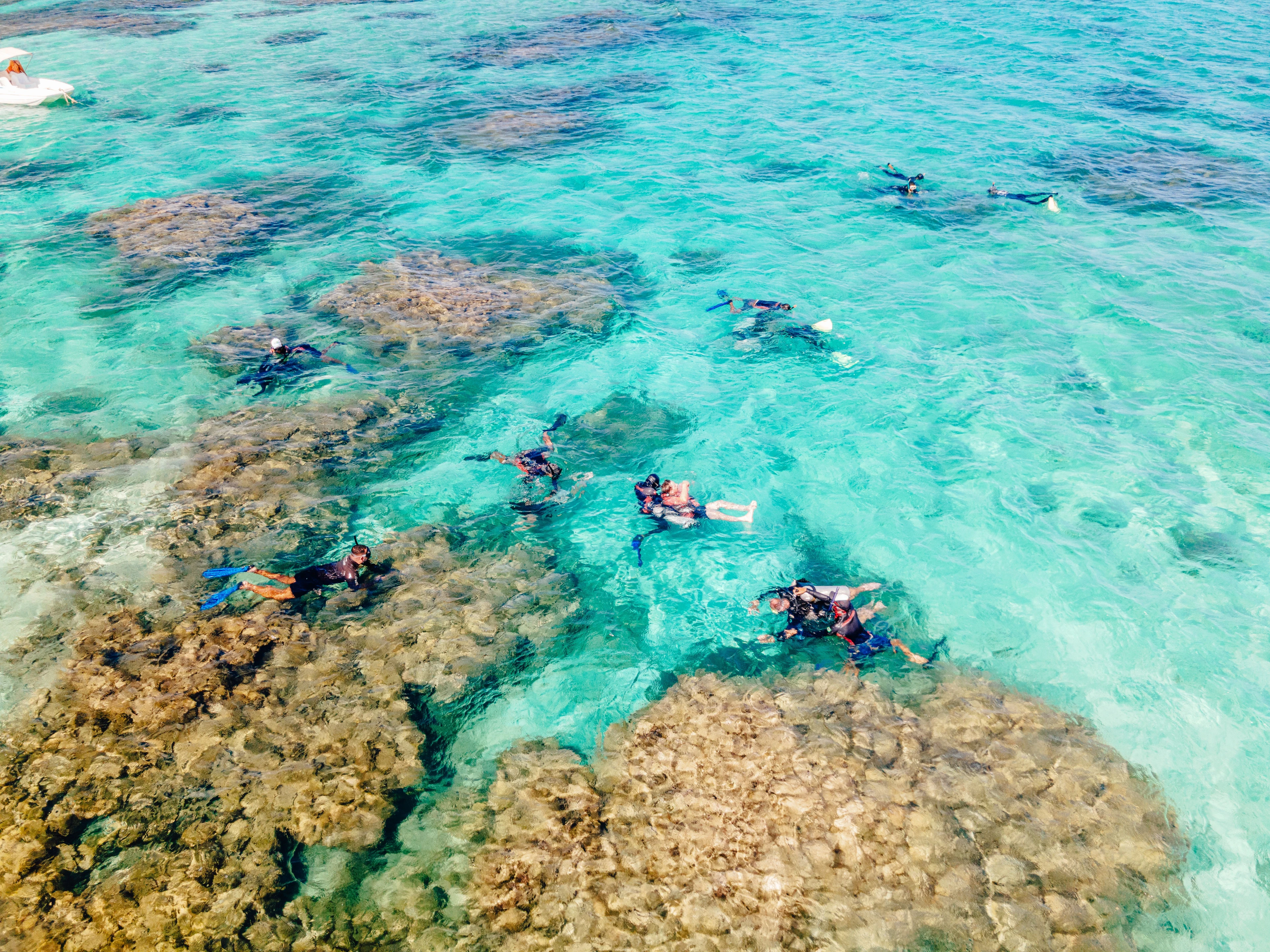 Snorkelers float above patterned reef and clear turquoise water at Maragogi