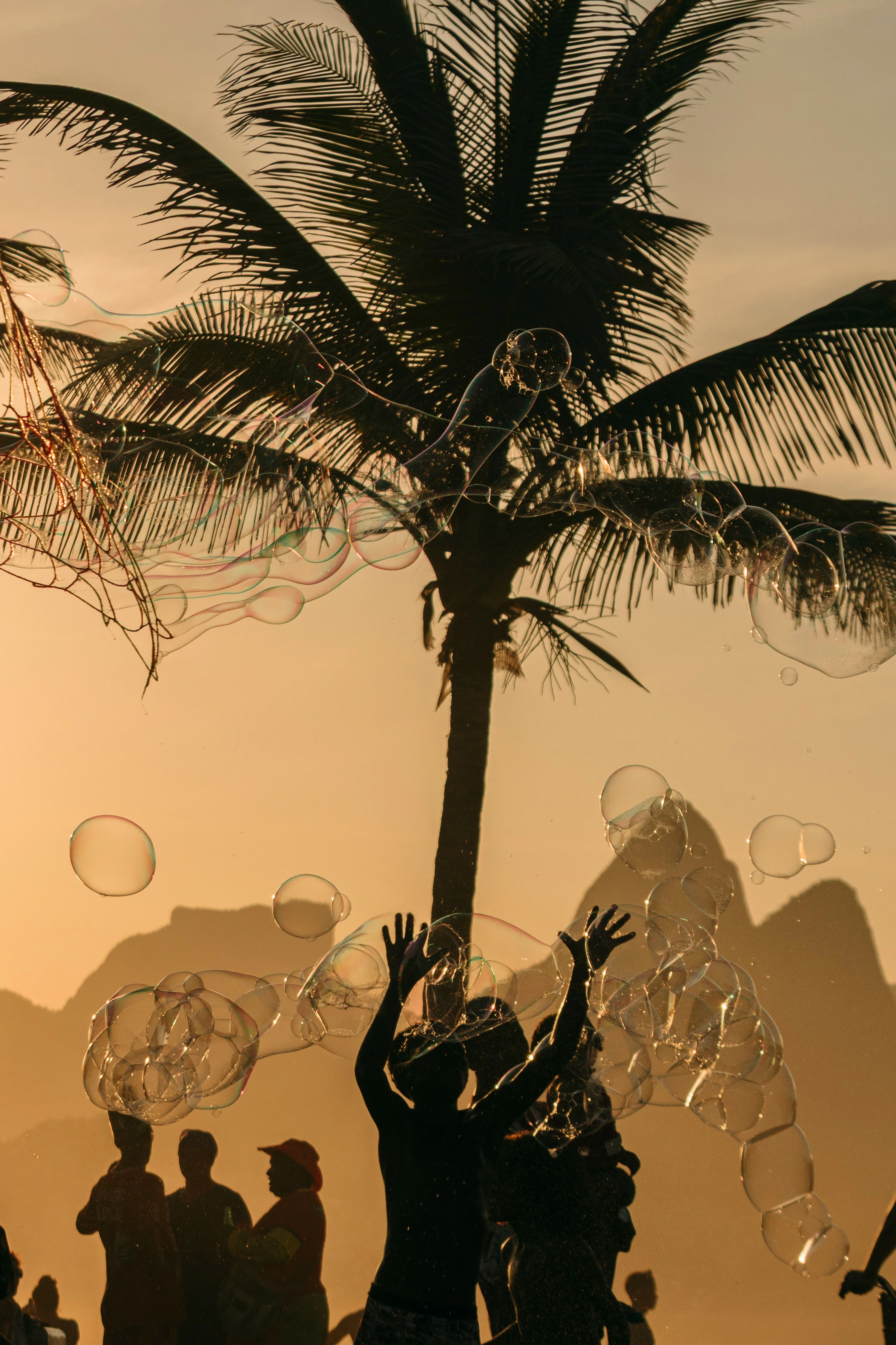 People reaching toward soap bubbles beneath a palm tree in Rio evening light