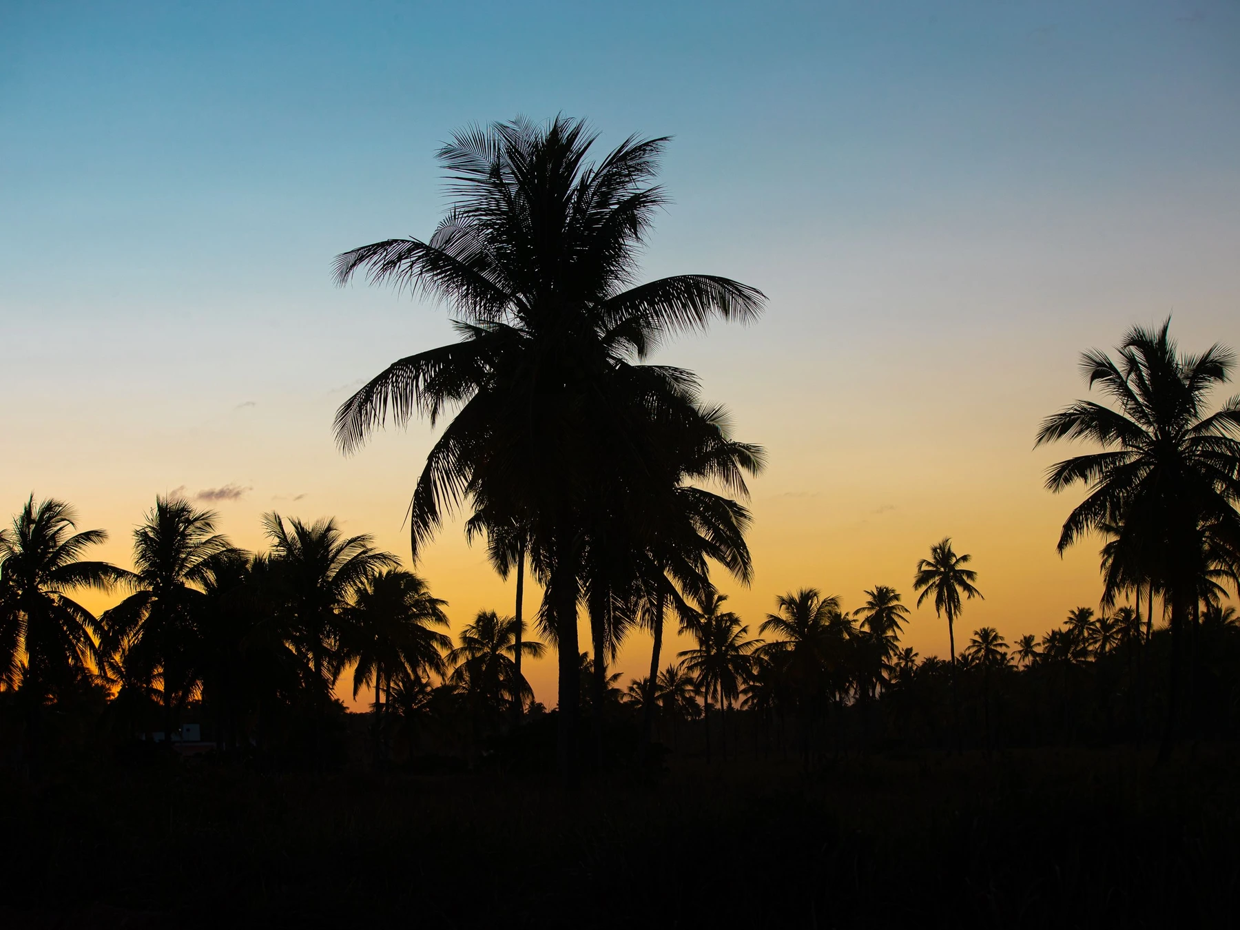 Sunset along the coast at São Miguel dos Milagres, Alagoas.