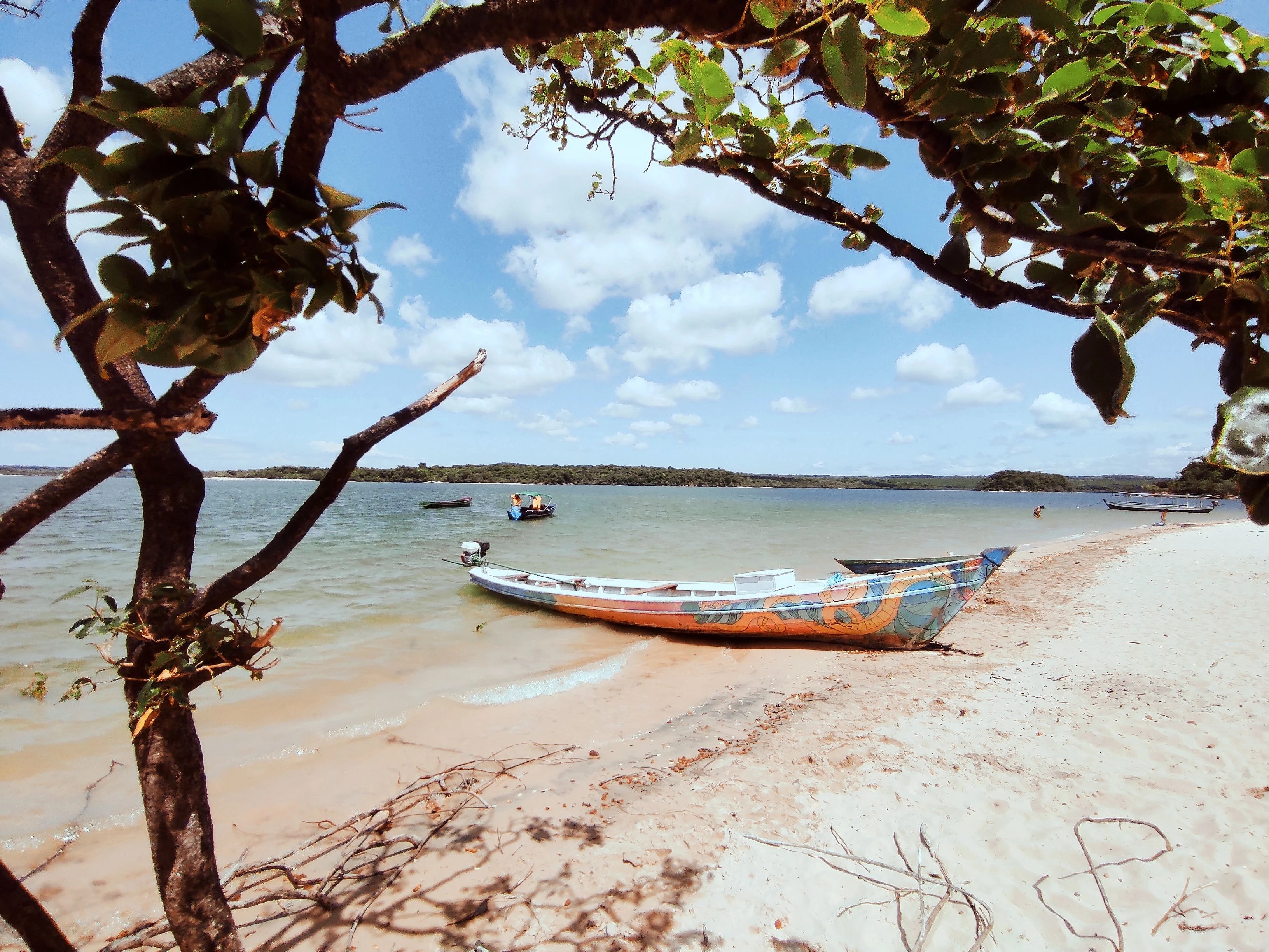 Colorful fishing boat framed by branches on a sandy Brazilian beach