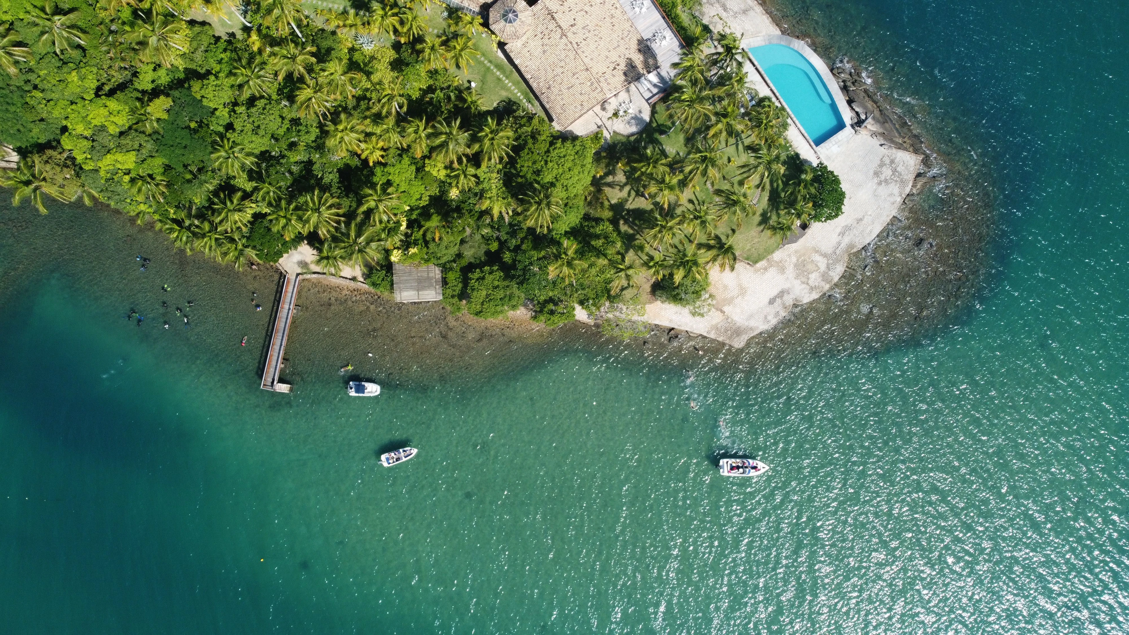 Boats beside a palm-lined waterfront property on Ilhabela seen from above