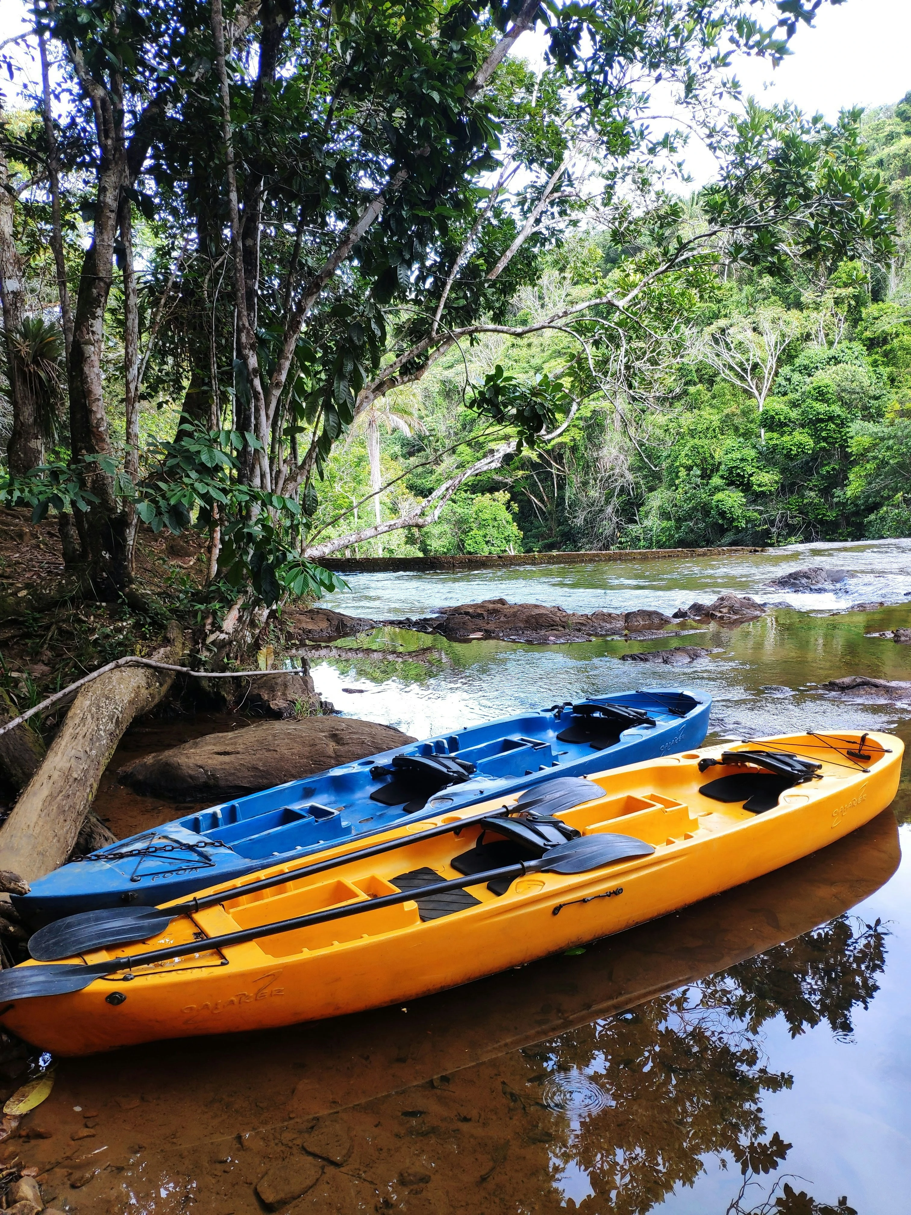 Yellow and blue kayaks rest beside a forest-framed river in Itacaré