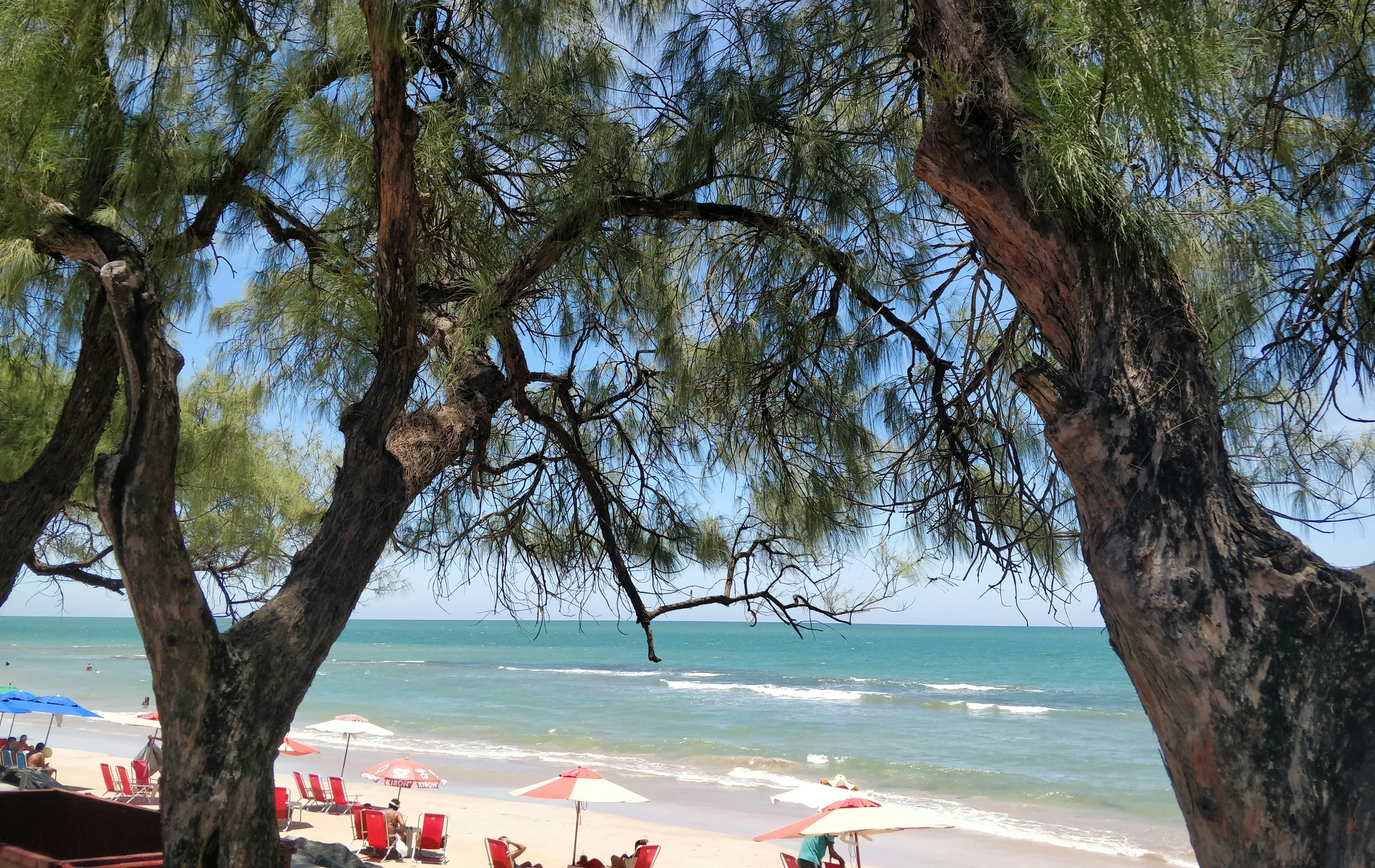 Shade beside the sea · Recife