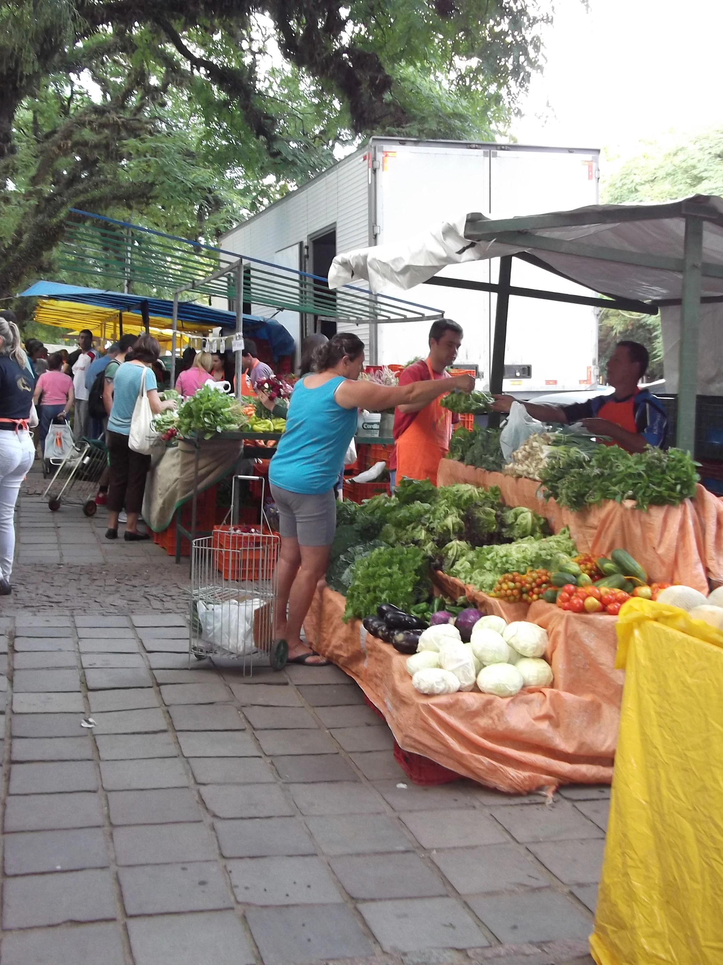 Shoppers and produce at the José Bonifácio ecological market.