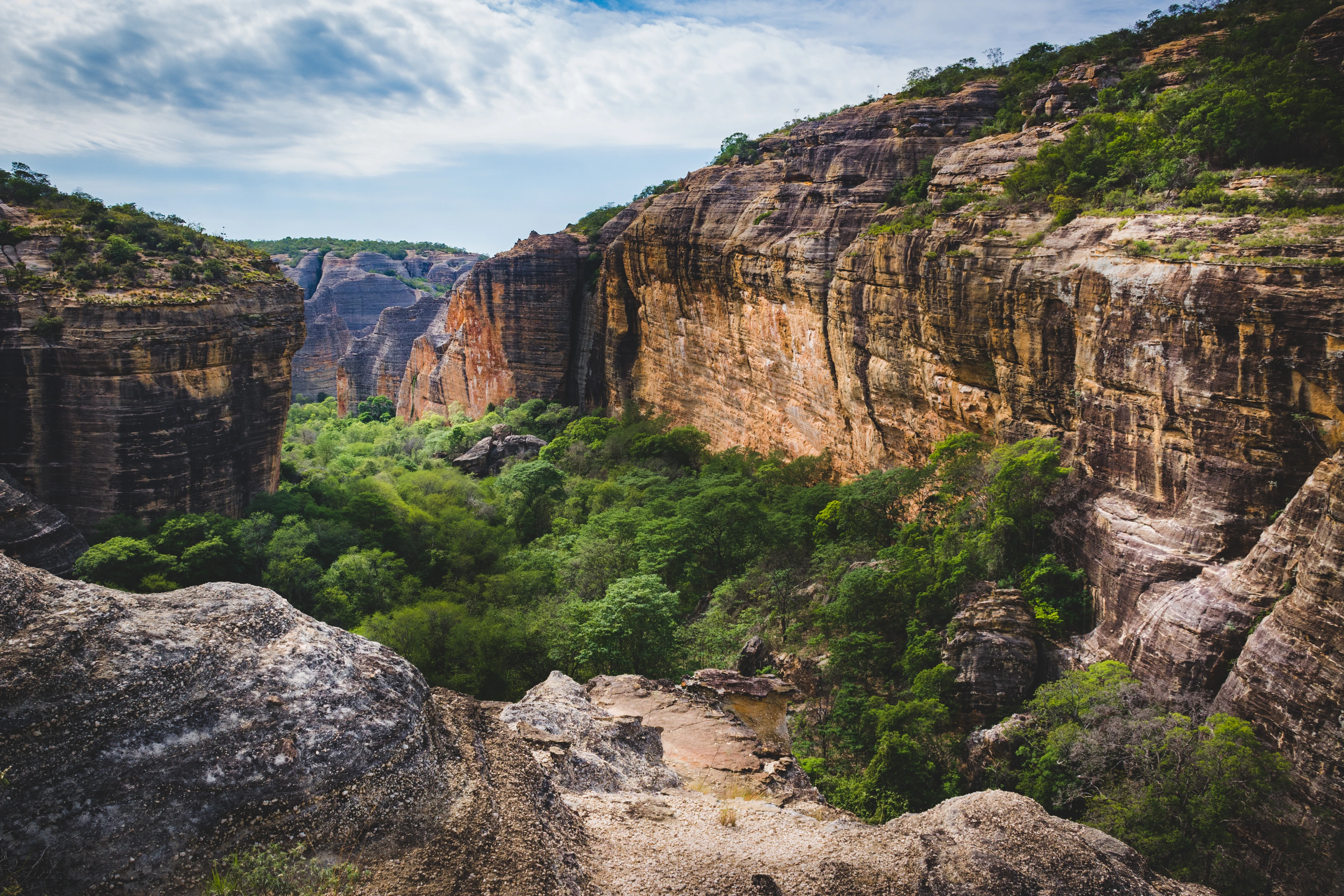 Warm sandstone cliffs rise above a deep green canyon at Serra da Capivara