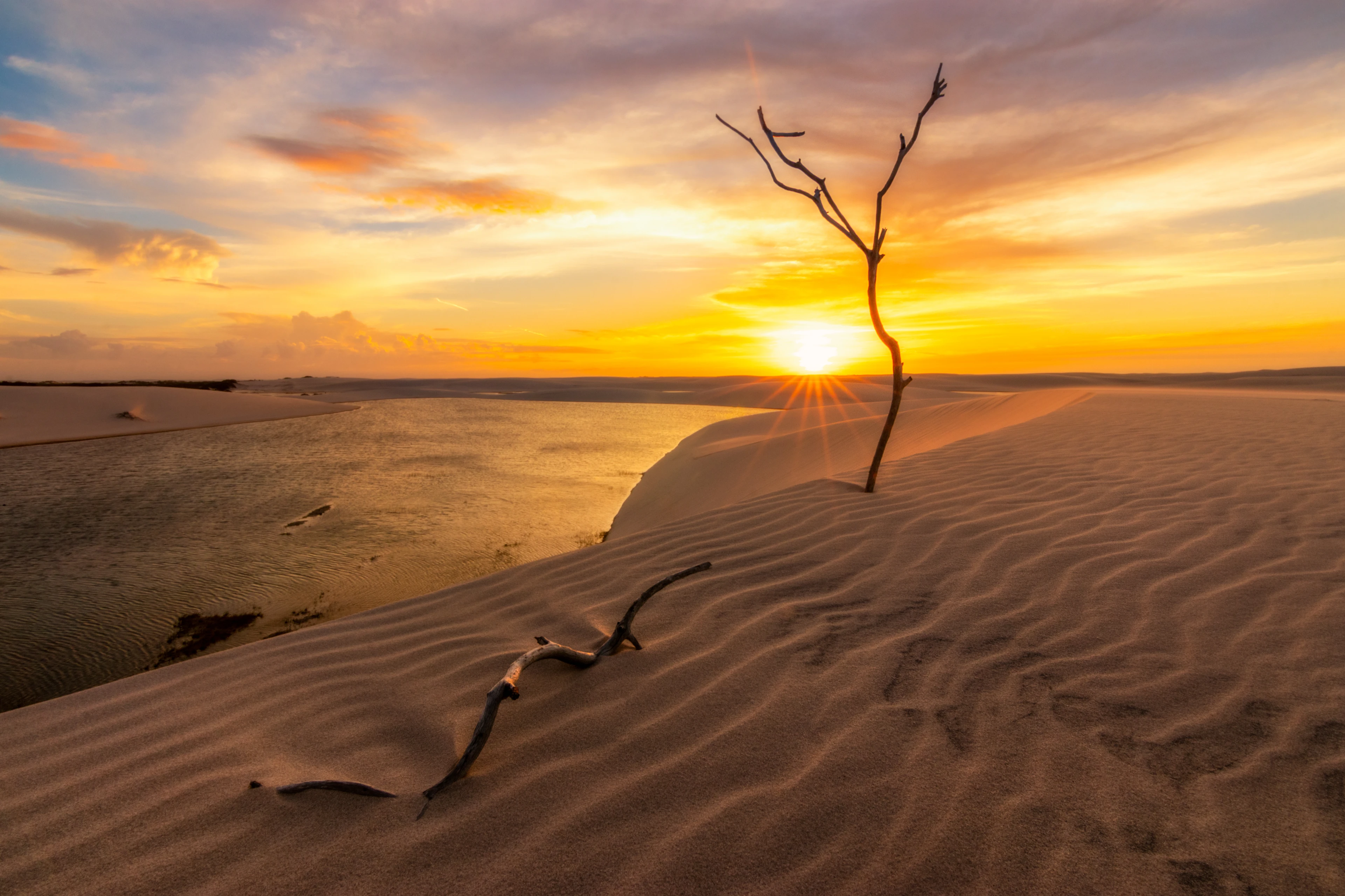 Sunset reflected in a lagoon beside a bare branch at Baixa Grande in Lençóis Maranhenses